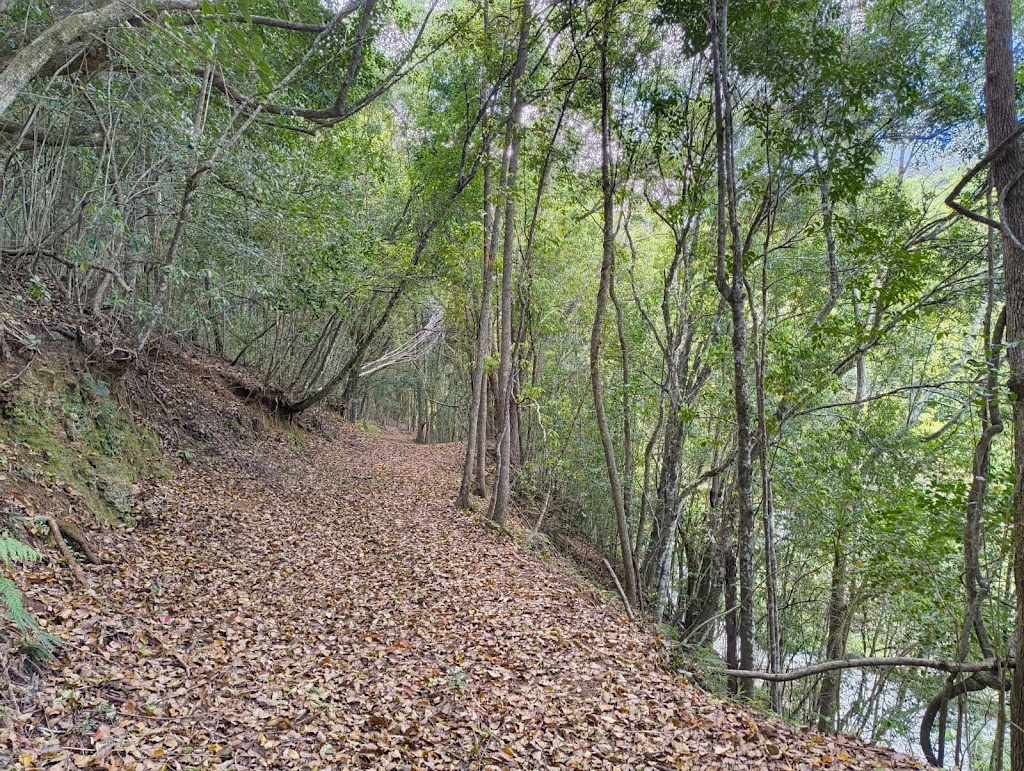 Biodanza School of Australia at Pumulani | 236 Graydon Rd, Corndale NSW 2480, Australia | Phone: 0477 800 001