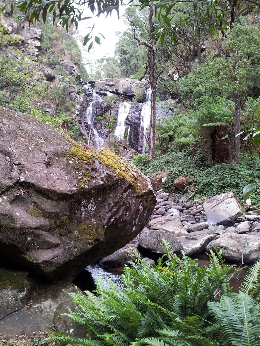 Beauchamp Falls Reserve Camp | campground | Flannagan Rd, Beech Forest VIC 3237, Australia | 131963 OR +61 131963