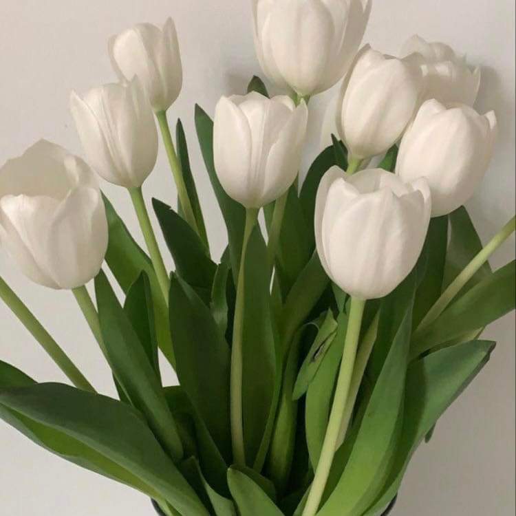 ABSOLUTE RELAX | 35 Madison St, Woodridge QLD 4114, Australia | Phone: 0450 077 830