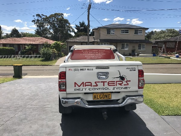 Masters Pest Control Sydney | Greystanes NSW 2145, Australia | Phone: (02) 8007 4666