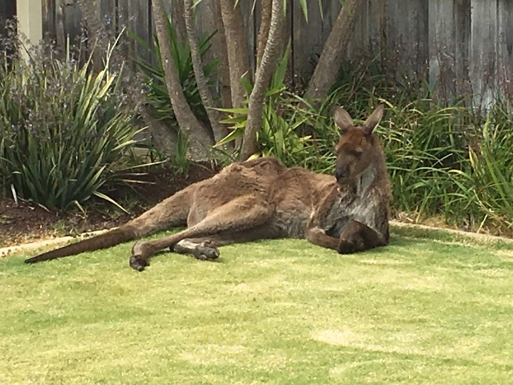 Meelup Bed & Breakfast | 7 Harry King Ave, Dunsborough WA 6281, Australia | Phone: (08) 9759 1330