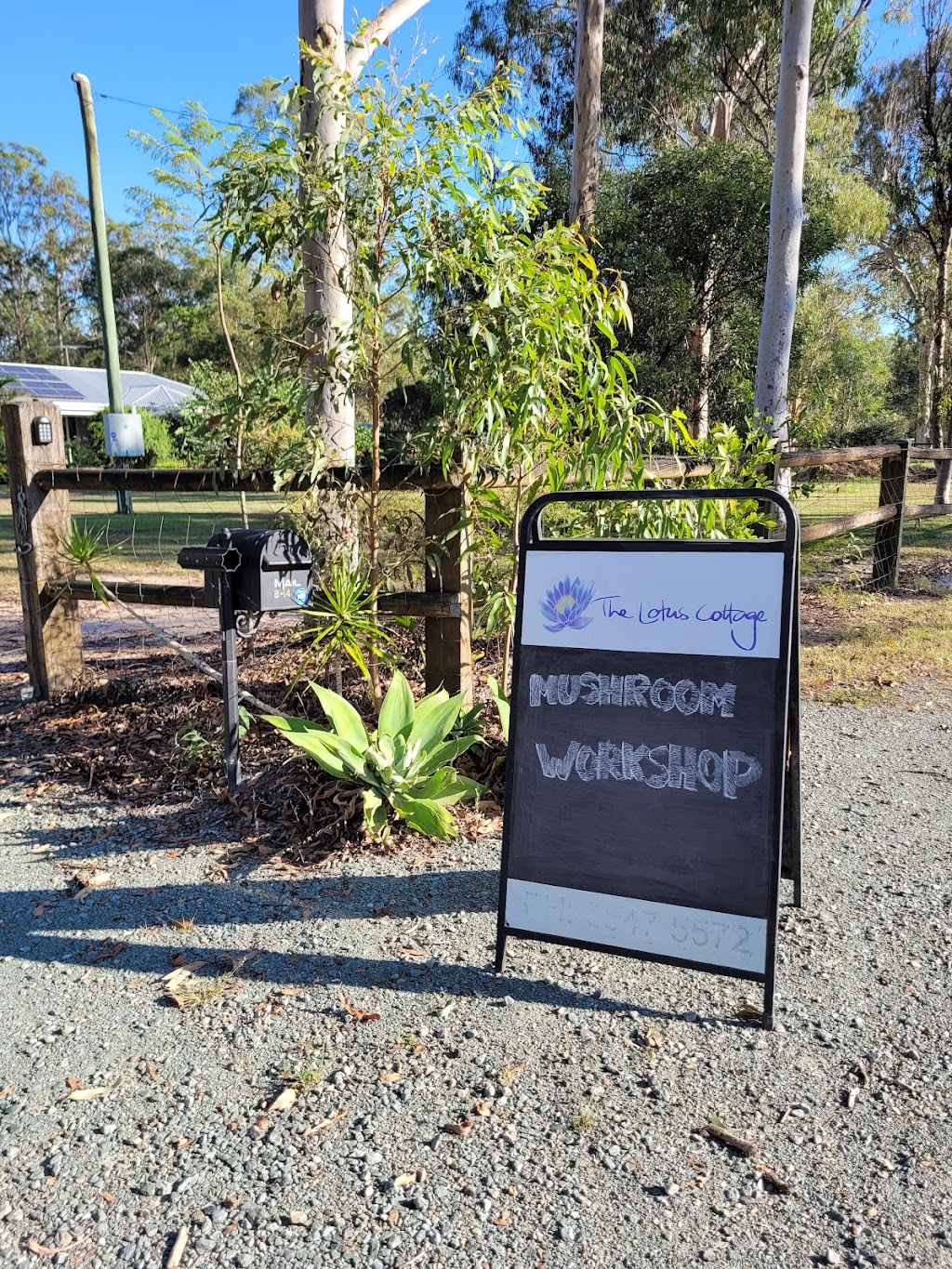 The Lotus Cottage | 8/14 Conifer Ct, Logan Village QLD 4207, Australia | Phone: 0435 774 564 The Lotus Cottage | 8/14 Conifer Ct, Logan Village QLD 4207, Australia | Phone: 0435 774 564