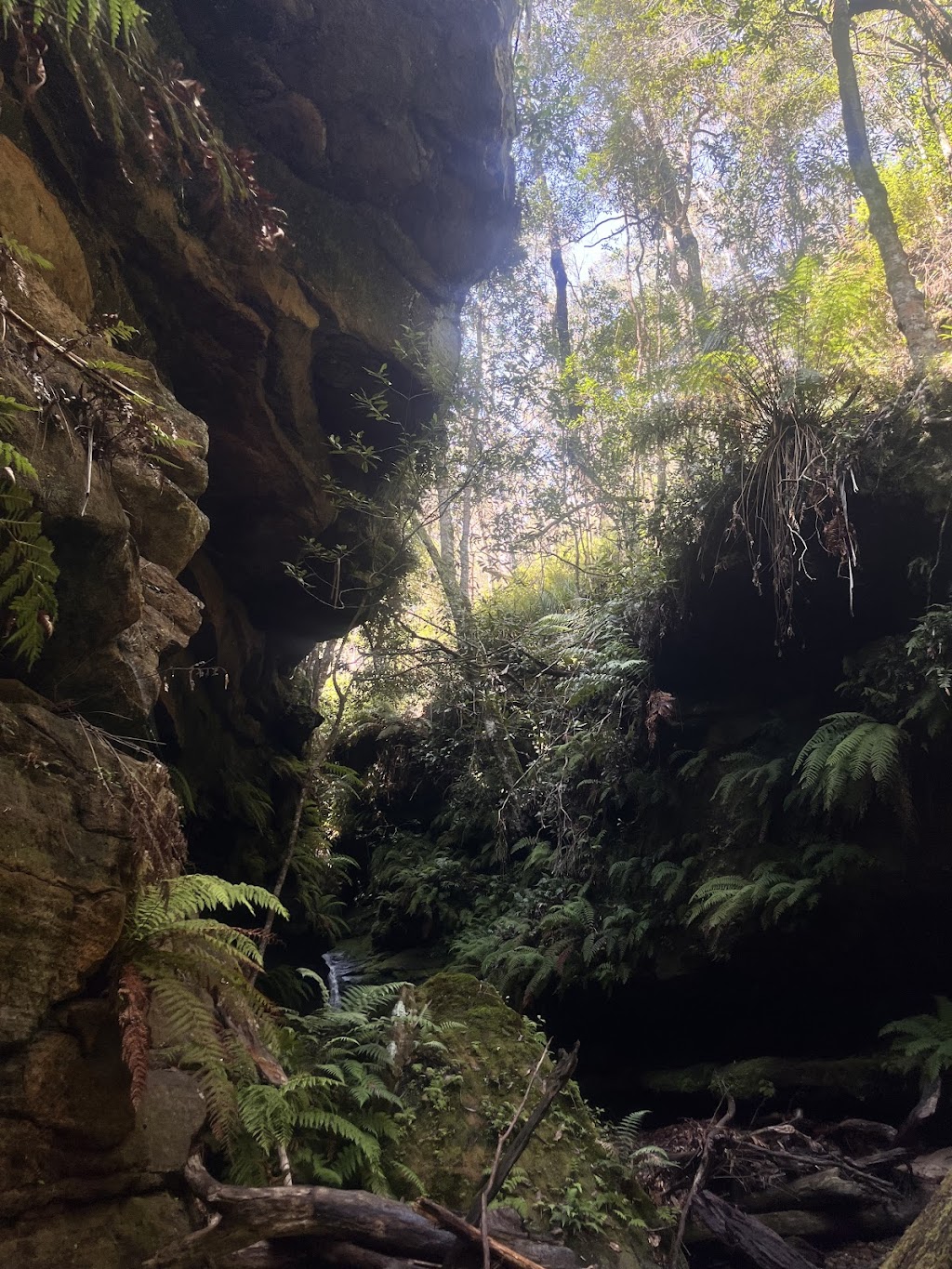 Wollemi Wanders | Bushwalks and Canyoning | 16 Church Ln, Mount Wilson NSW 2786, Australia | Phone: 0436 107 829