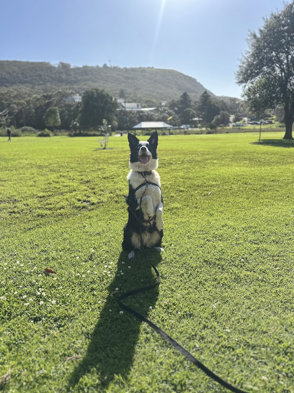 Park and Tide | 2A Station St, Stanwell Park NSW 2508, Australia | Phone: 0431 520 812