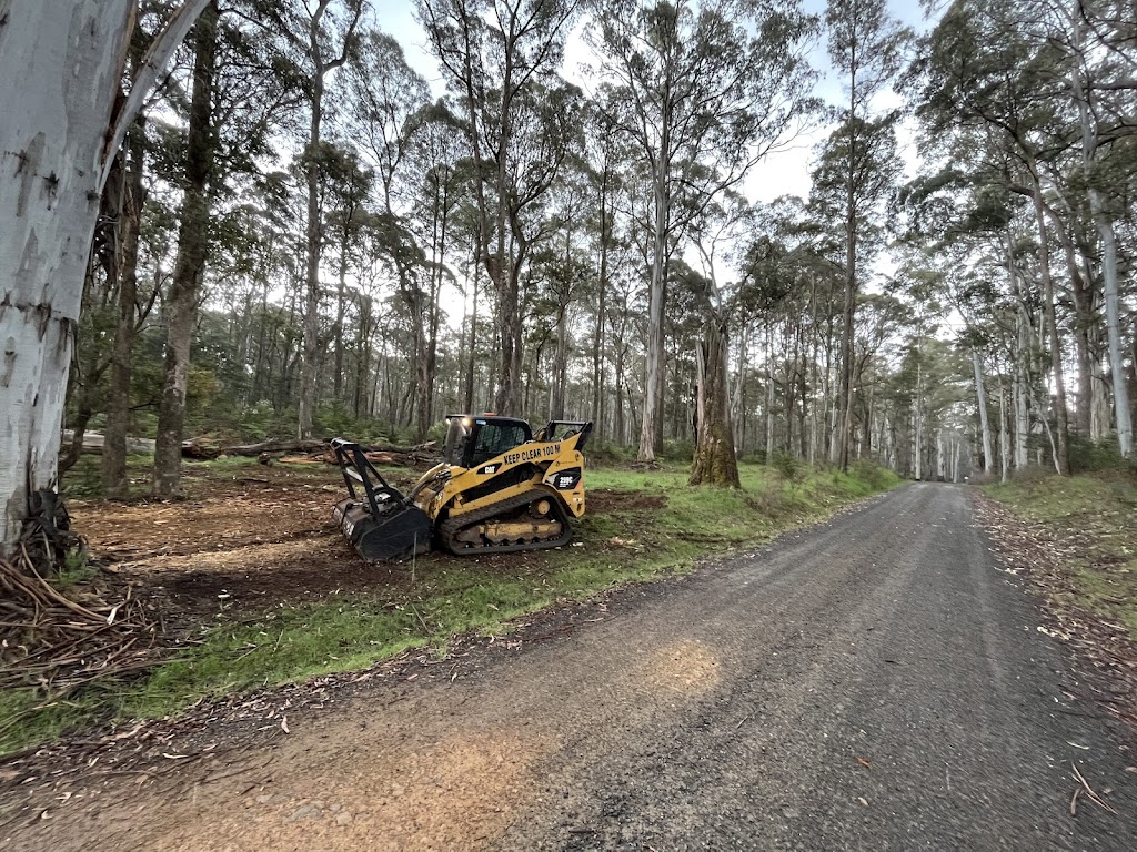 Clear Cut Tree And Timber Solutions | 234 Dead Horse Ln, Mansfield VIC 3722, Australia | Phone: 0433 387 191