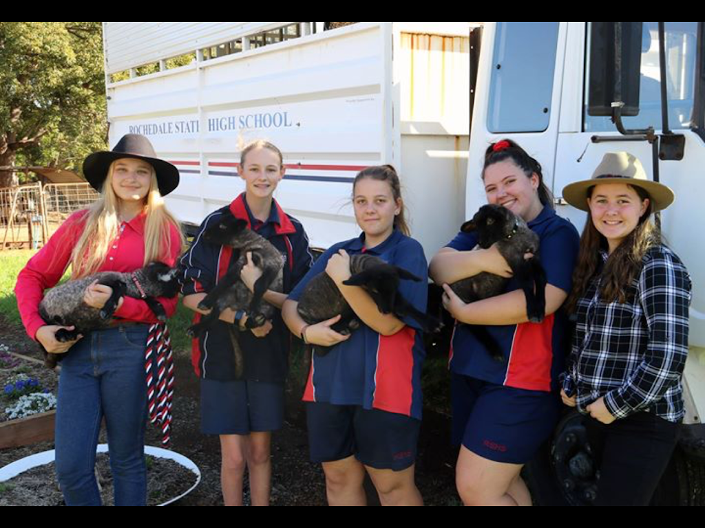 Rochedale State High School | school | 249 Priestdale Rd, Rochedale QLD 4123, Australia | 0733400400 OR +61 7 3340 0400