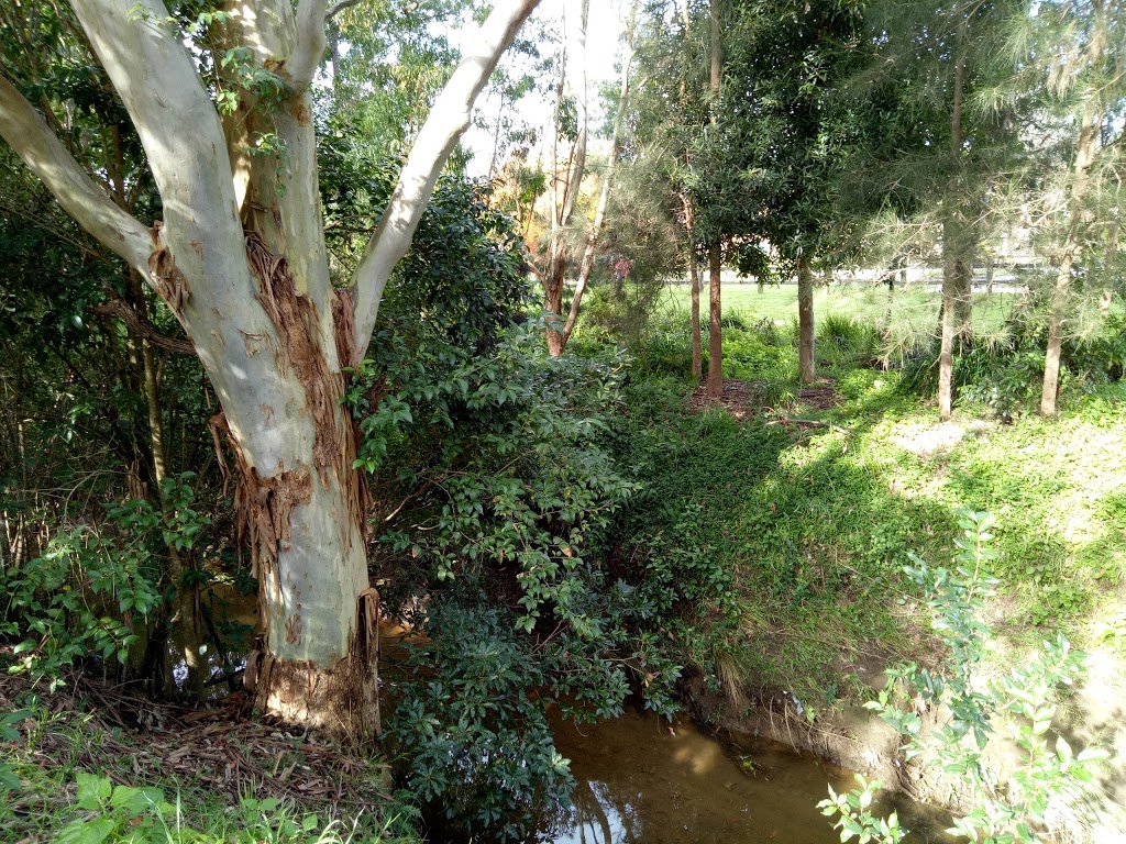 Ponds Creek Reserve (North) | Rumsey Cres, Dundas Valley NSW 2117, Australia | Phone: (02) 9806 5140