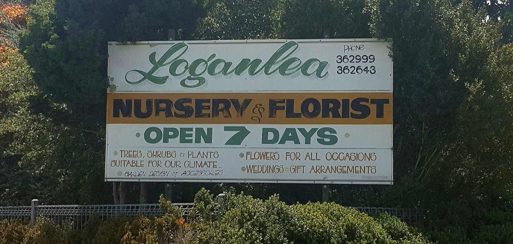 Loganlea Nursery & Florist | florist | Derby St, Tenterfield NSW 2372, Australia | 0267362999 OR +61 2 6736 2999