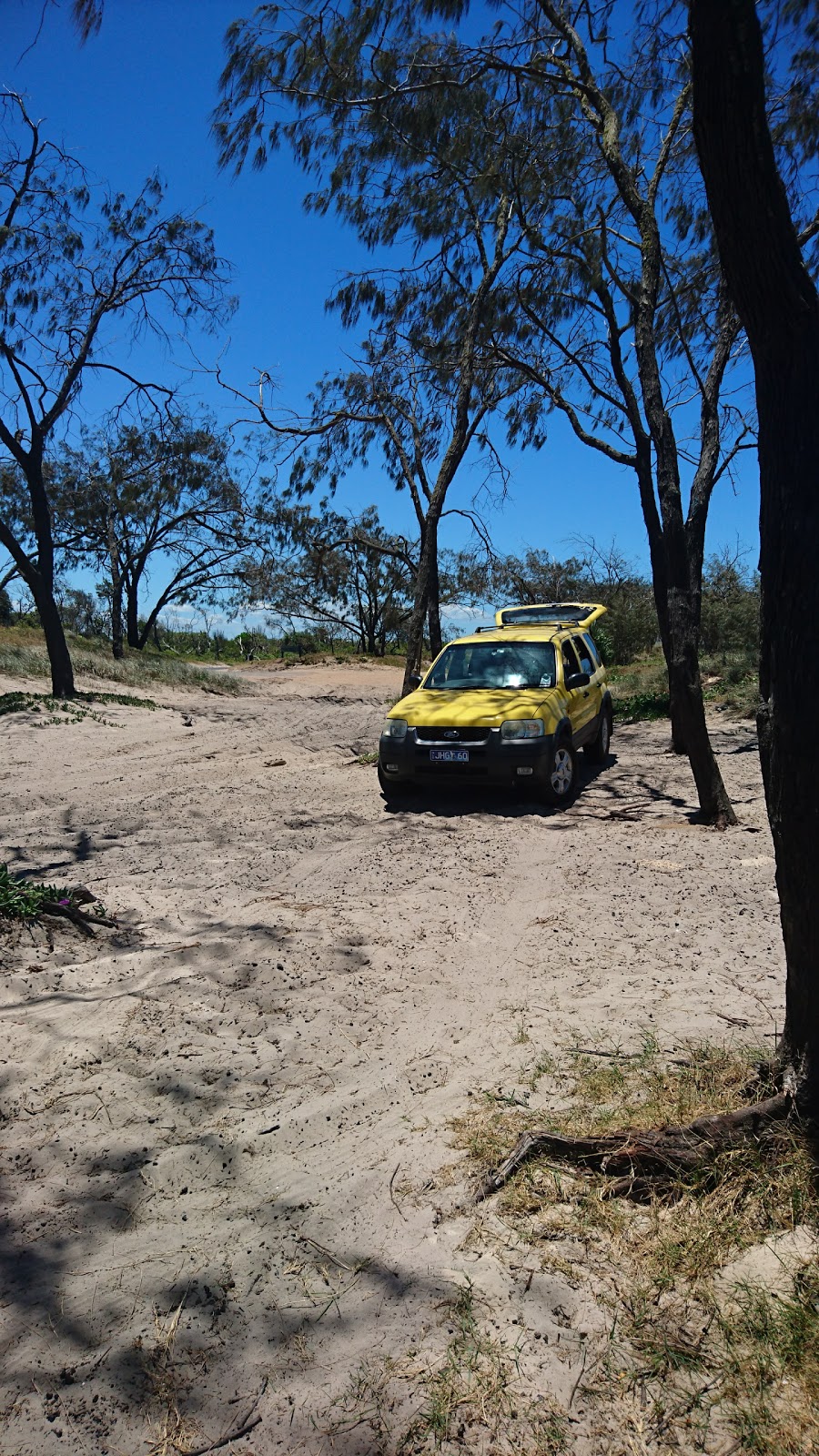The Oaks Camping Area | campground | Inskip Point Rd, Inskip QLD 4581, Australia | 137468 OR +61 137468