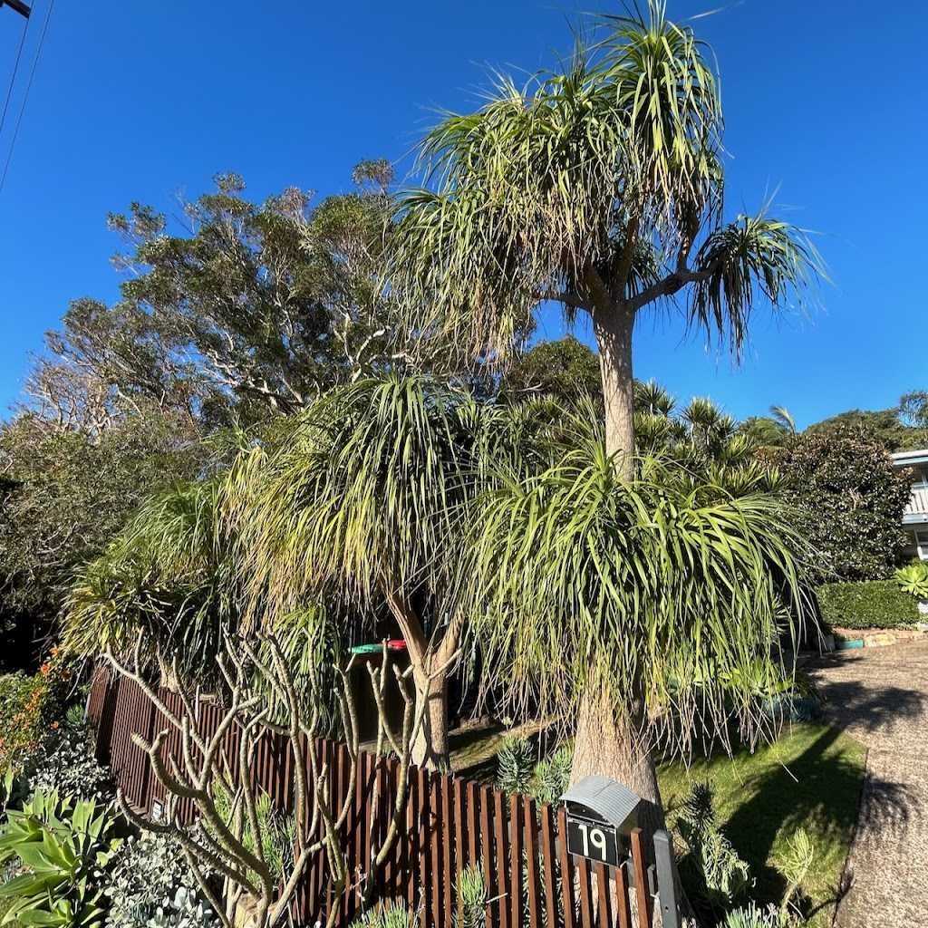Port Stephens Projects | 19 Boulder Bay Rd, Fingal Bay NSW 2315, Australia | Phone: 0432 575 467
