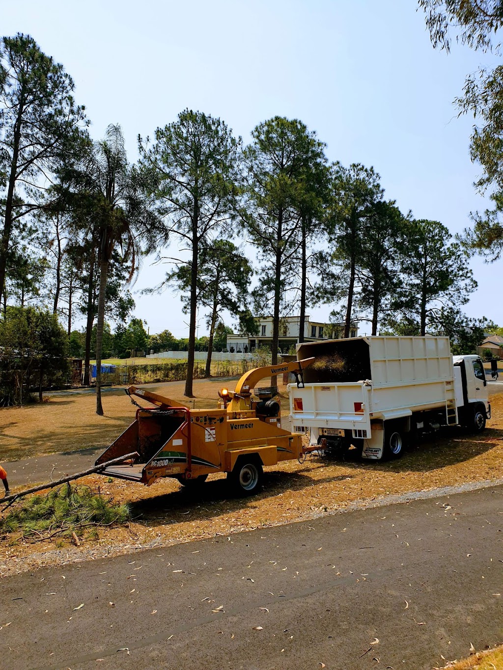 Tree Smart Brisbane - Tree Lopping and Stump Grinding |  | 27 Bettson Blvd, Griffin QLD 4503, Australia | 0487369639 OR +61 487 369 639