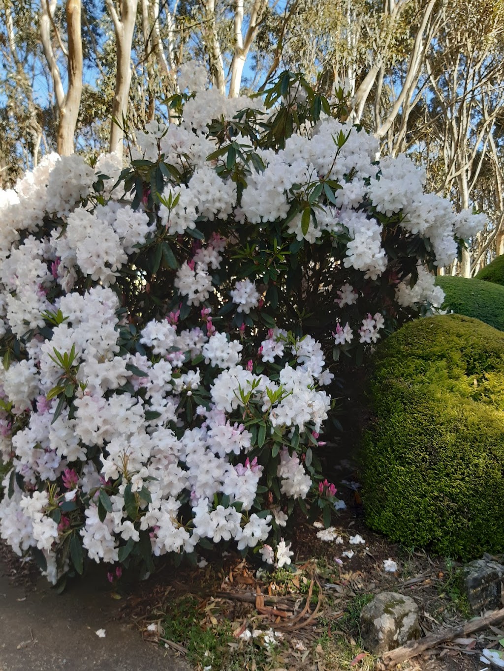 Gisborne Bowling Club | 1 Kilmore Rd, Gisborne VIC 3437, Australia | Phone: (03) 5428 2533