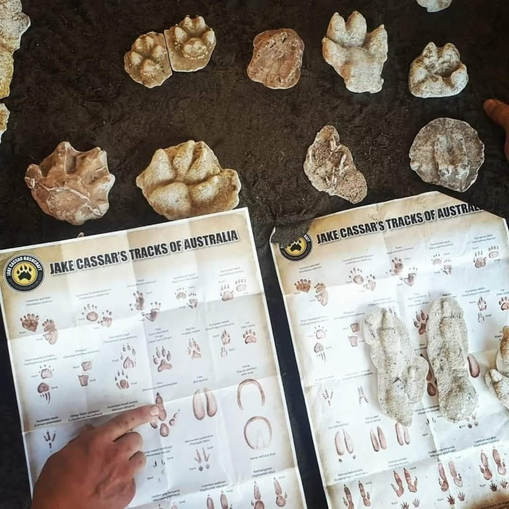 Jake Cassar Bushcraft | 1 Darkinjung Rd, Calga NSW 2250, Australia | Phone: 0405 424 124