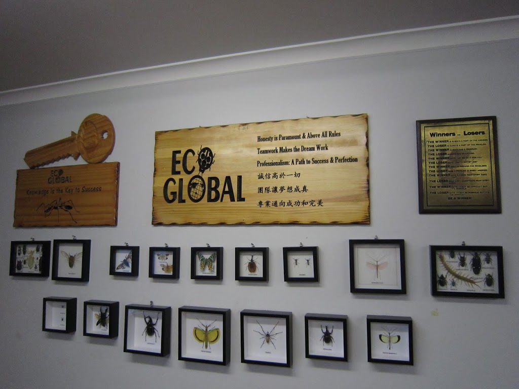 Eco-Global Termite Doctor | home goods store | 200 Beatty Rd, Archerfield QLD 4108, Australia | 0737006008 OR +61 7 3700 6008