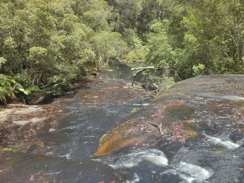 Yarrawa State Forest | park | Robertson NSW 2577, Australia