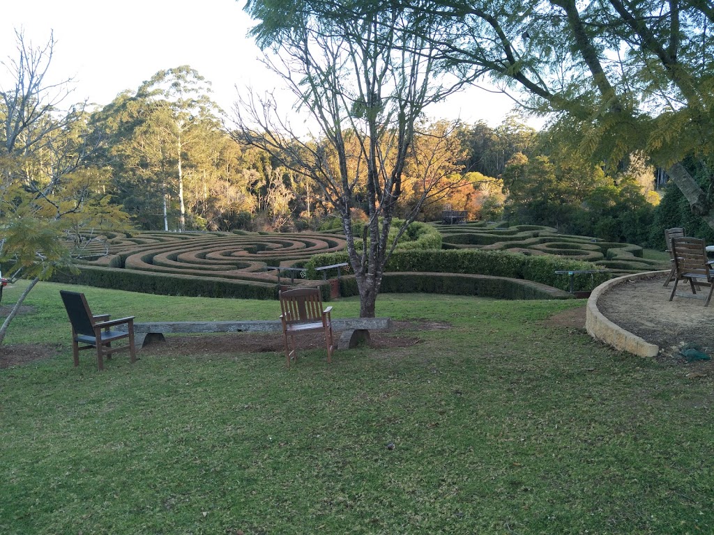 Bago Winery and Hedge Maze | museum | &, Lambs Road, Milligans Rd, Herons Creek NSW 2443, Australia | 0265857099 OR +61 2 6585 7099