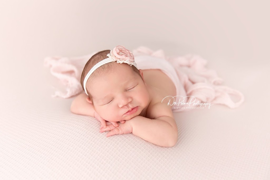 Dee Palma Photography | St Andrews Dr, Werribee VIC 3030, Australia | Phone: 0423 872 871