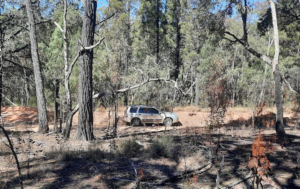 Carlow Family Headstones | 1311 Dandry Rd, Dandry NSW 2357, Australia | Phone: 0402 777 974