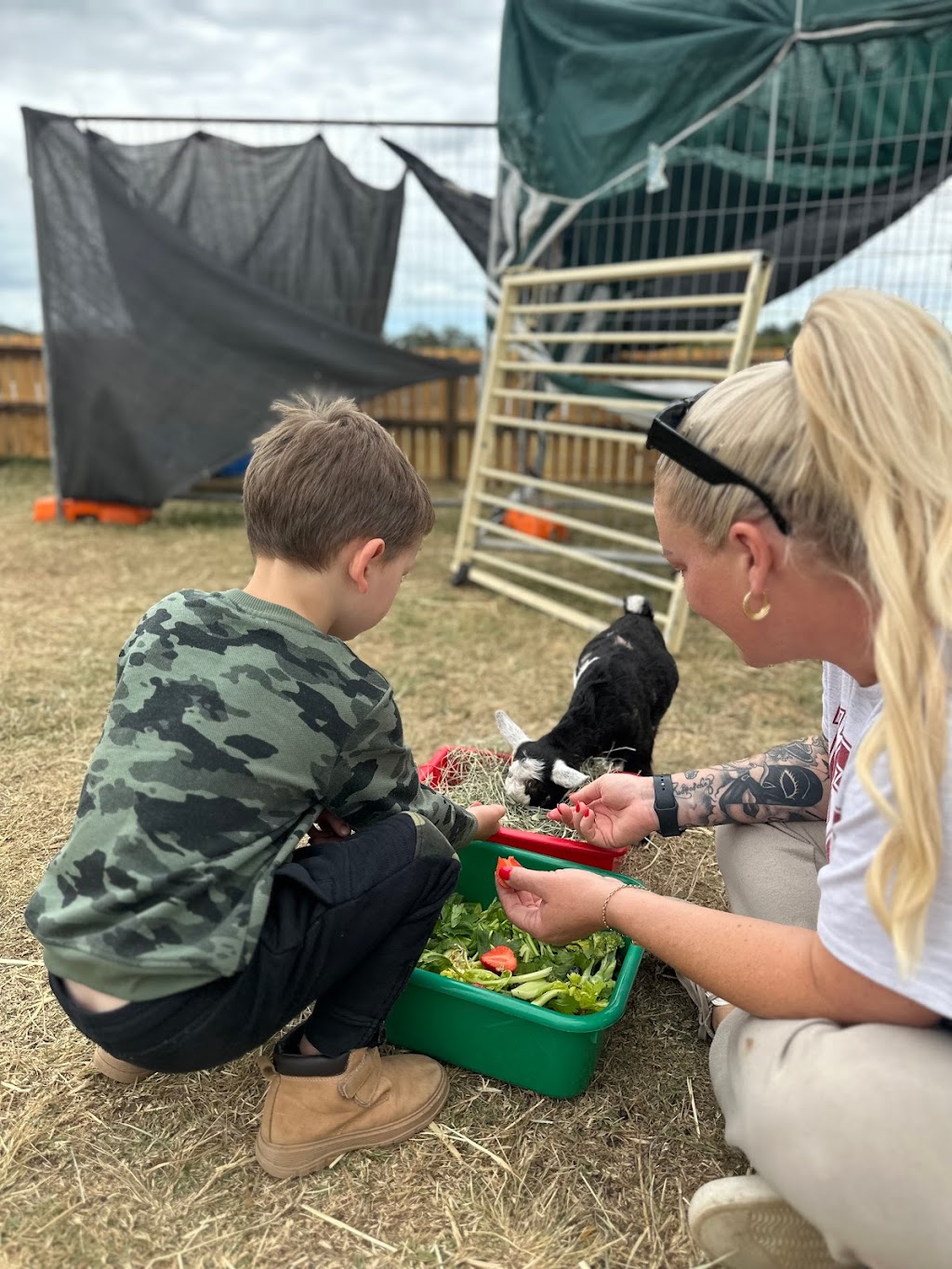 Compassion Connect | 1374 Mount Cotton Rd, Burbank QLD 4156, Australia | Phone: 0438 578 883