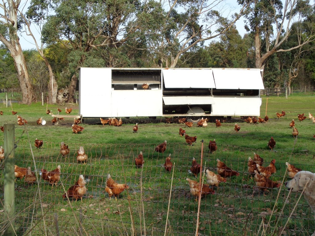 Little Yarra Free Range Eggs | store | 150 Doon Rd, Launching Place VIC 3139, Australia | 0407331117 OR +61 407 331 117