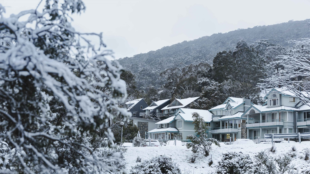 Alpine Property Collective | Unit 7/5 Crackenback Dr, Thredbo NSW 2625, Australia | Phone: (02) 6443 1010