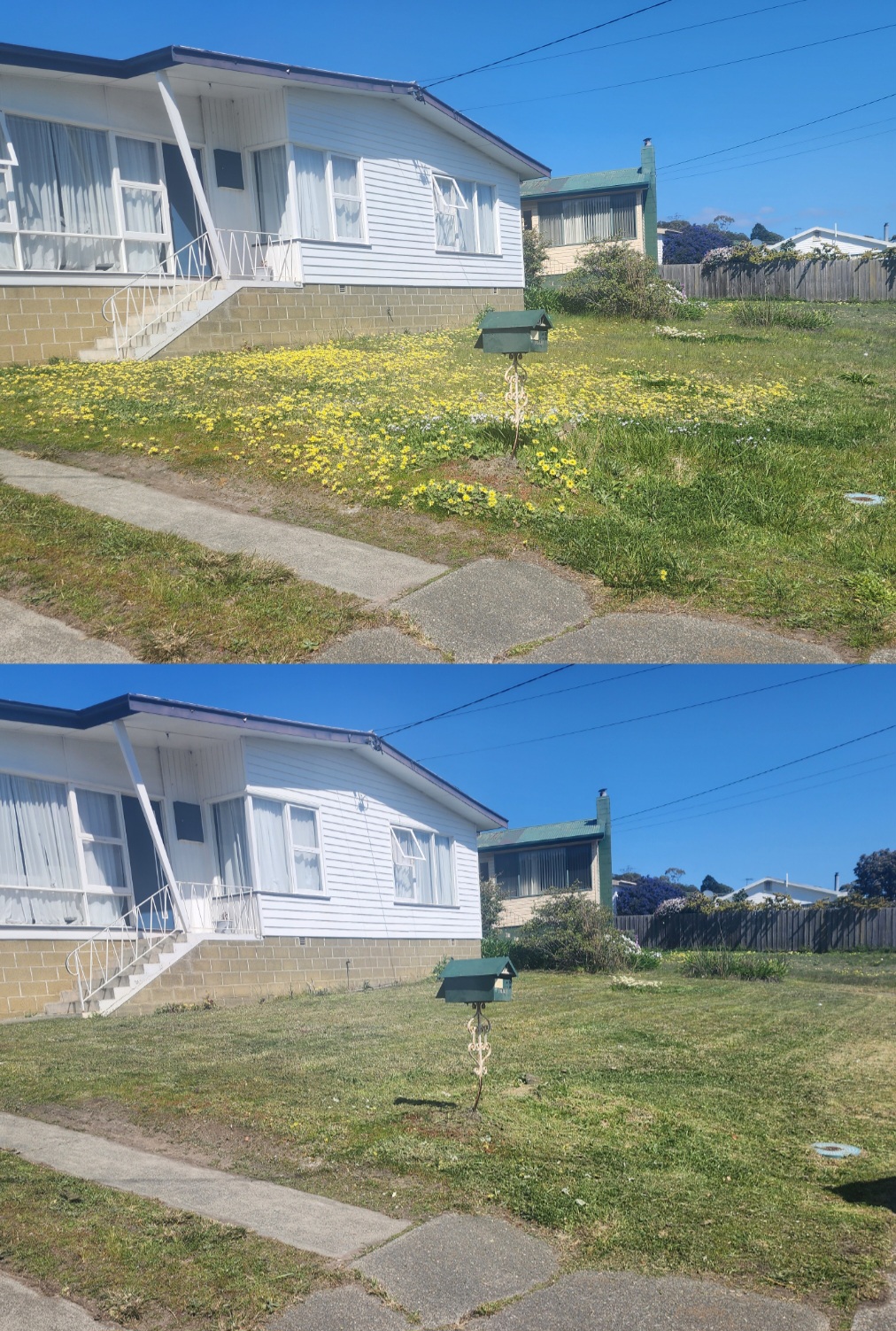 Home Horticulture | 16 Alomes Rd, Forcett TAS 7173, Australia | Phone: 0428 247 280 Home Horticulture | 16 Alomes Rd, Forcett TAS 7173, Australia | Phone: 0428 247 280