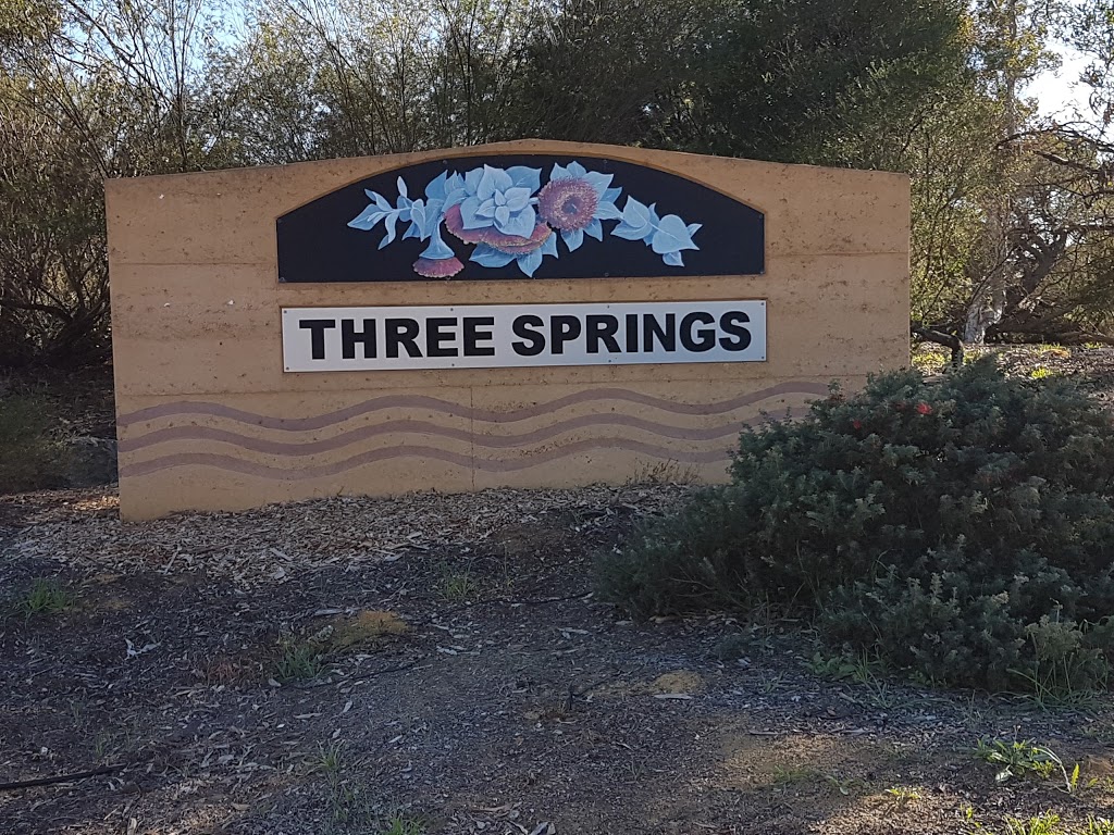 BP | 138 Railway Rd, Three Springs WA 6519, Australia | Phone: (08) 9954 1125