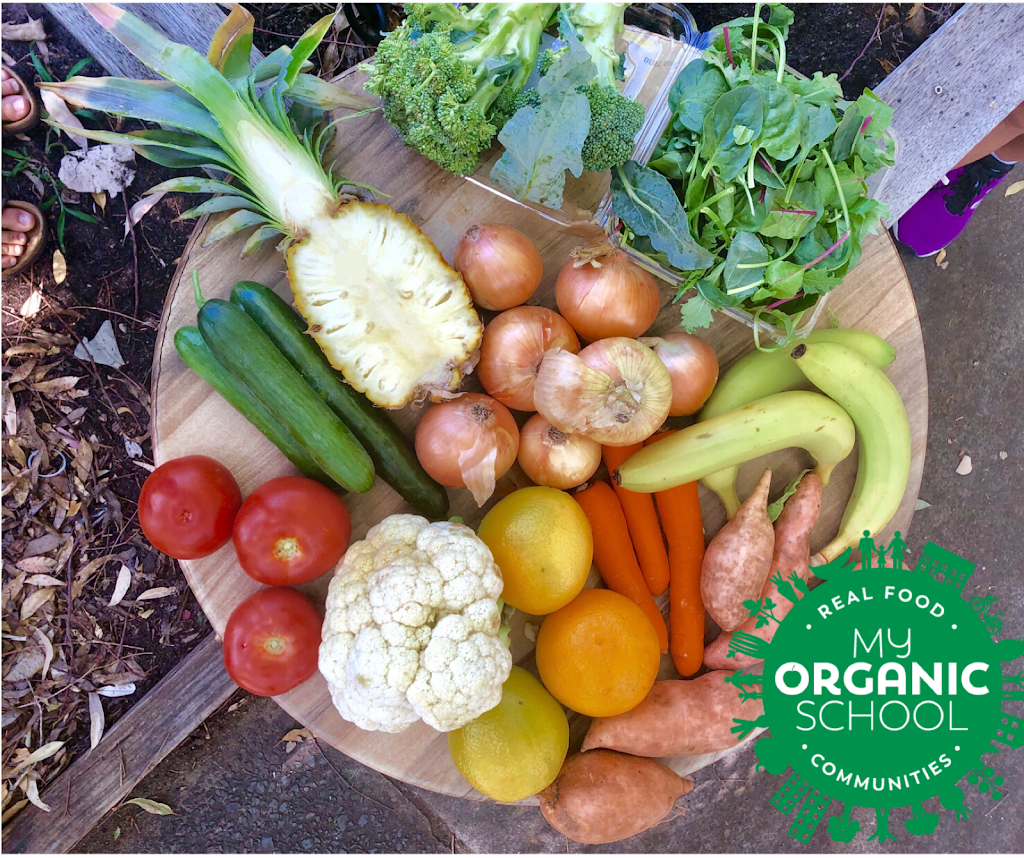 My Organic School | store | 5/2 Bronte Marine Dr, Bronte NSW 2024, Australia | 0419265257 OR +61 419 265 257