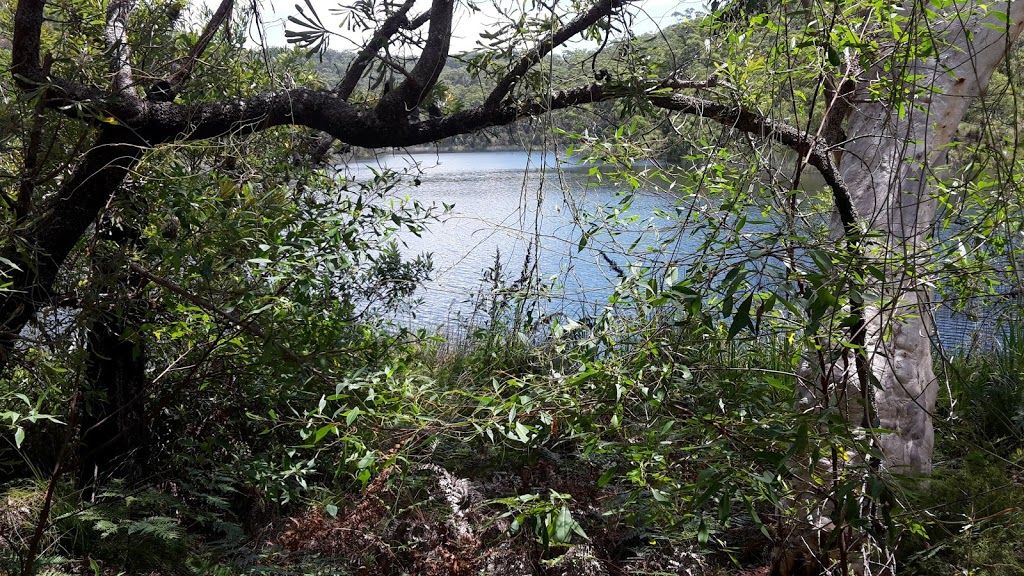 Blue Lake National Park | North Stradbroke Island QLD 4183, Australia | Phone: 13 74 68