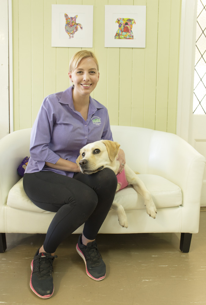 Indooroopilly Veterinary Clinic | Moggill Rd, Indooroopilly QLD 4068, Australia | Phone: (07) 3878 9766