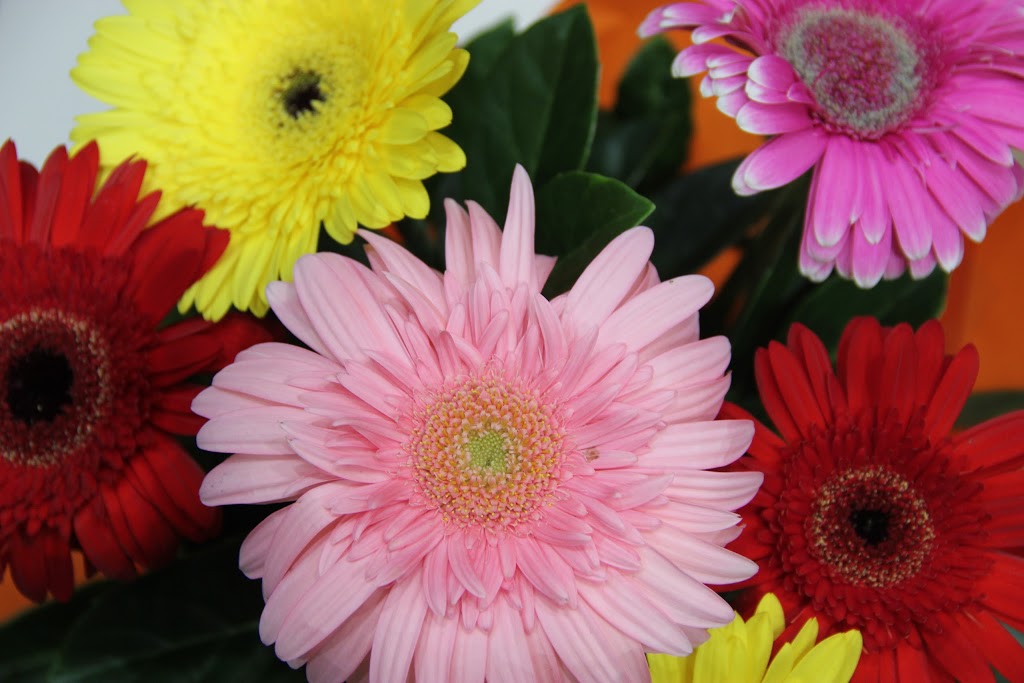 Campsie Florist | florist | 25/14-28 Amy St, Campsie NSW 2194, Australia | 0297187780 OR +61 2 9718 7780