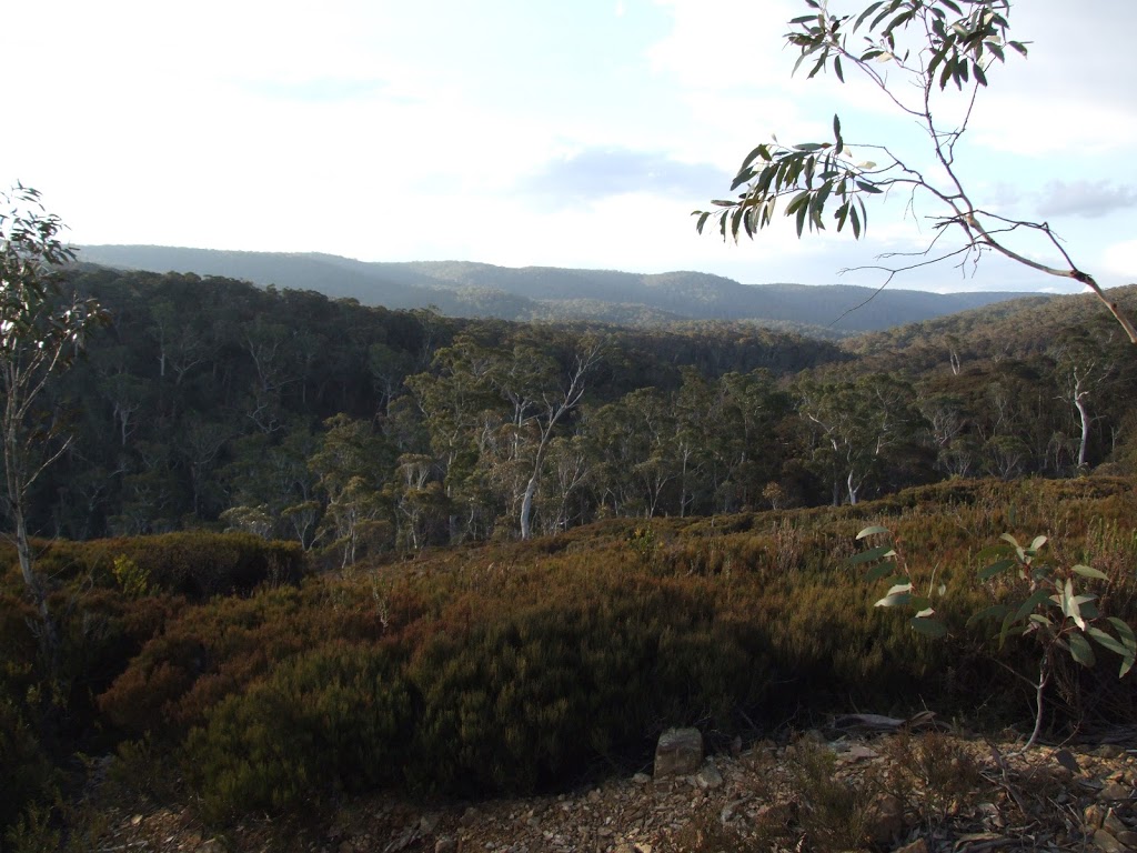 Lake Creek Camping Area | campground | Bourkes Rd, Wadbilliga NSW 2546, Australia