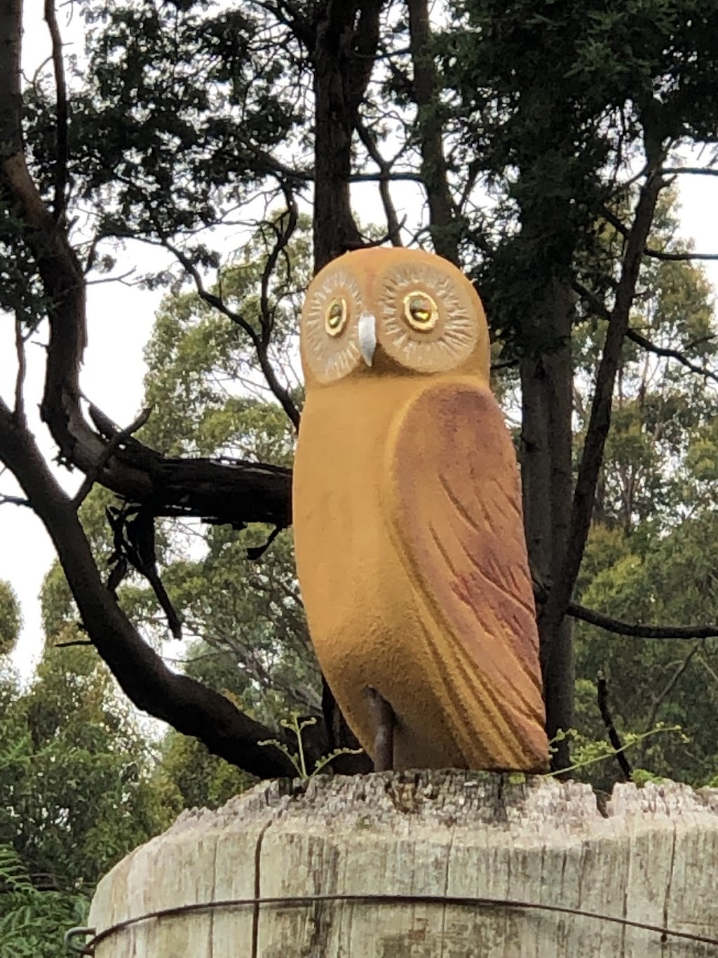 Inside Outside Gallery | 1900 Bruny Island Main Rd, Great Bay TAS 7150, Australia | Phone: 0416 126 130