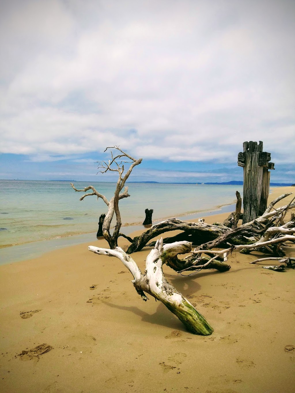 Port Phillip Heads Marine National Park | Swan Bay VIC 3225, Australia | Phone: 13 19 63