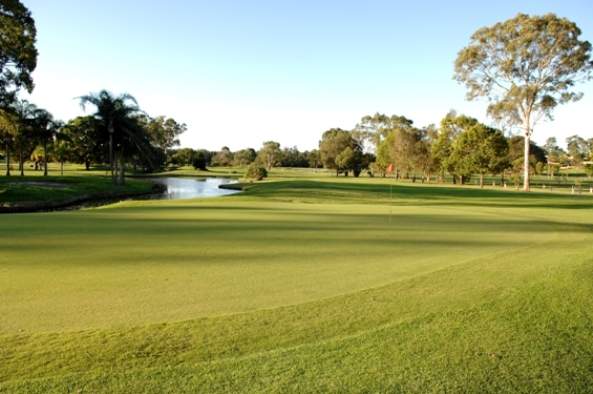 Helensvale Golf Course | restaurant | 16 Wandilla Dr, Helensvale QLD 4212, Australia | 0755731278 OR +61 7 5573 1278