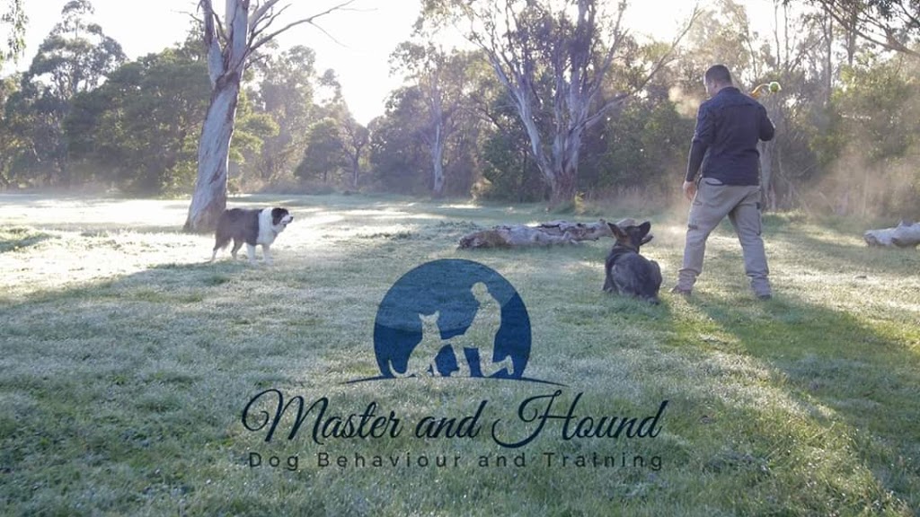 Master and Hound Dog Training And Behaviour | Princes Hwy, Traralgon VIC 3844, Australia | Phone: 0458 948 575