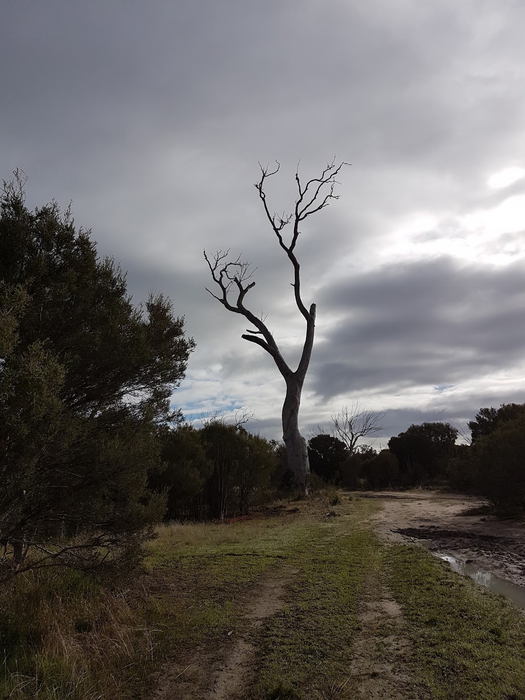 Lake Hindmarsh Lake Reserve - Jeparit VIC 3423, Australia