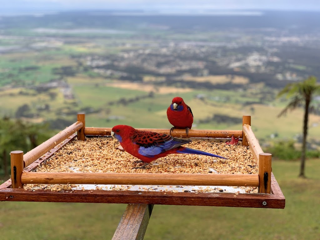 Cambewarra Mountain Lookout | tourist attraction | 182 Cambewarra Lookout Rd, Cambewarra NSW 2540, Australia | 0244651321 OR +61 2 4465 1321