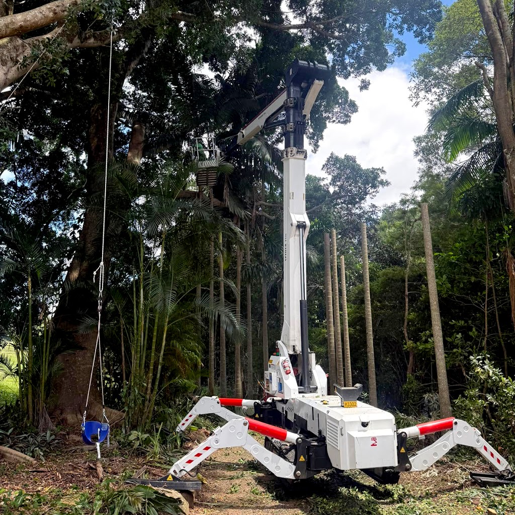 Pacific Tree Services | 31B Alexander Ln, Eltham NSW 2480, Australia | Phone: 0448 954 559