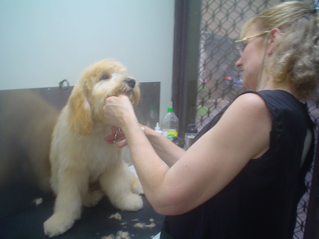 Carlas Dog Clipping & Grooming Narre Warren | 3 Darling Way, Narre Warren VIC 3805, Australia | Phone: (03) 9704 0944