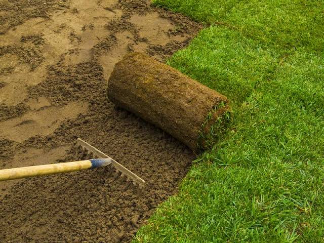 Best Turf | 20 Shelley Ave, Bundoora VIC 3083, Australia | Phone: 0412 098 002