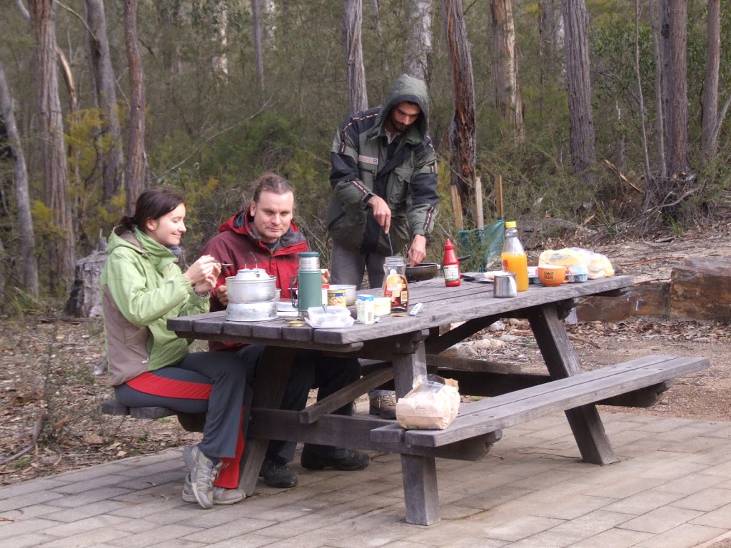 Myanba Gorge Picnic Area & Walking Track | Myanba Gorge Walking Track, Coolangubra NSW 2550, Australia | Phone: (02) 6458 5900