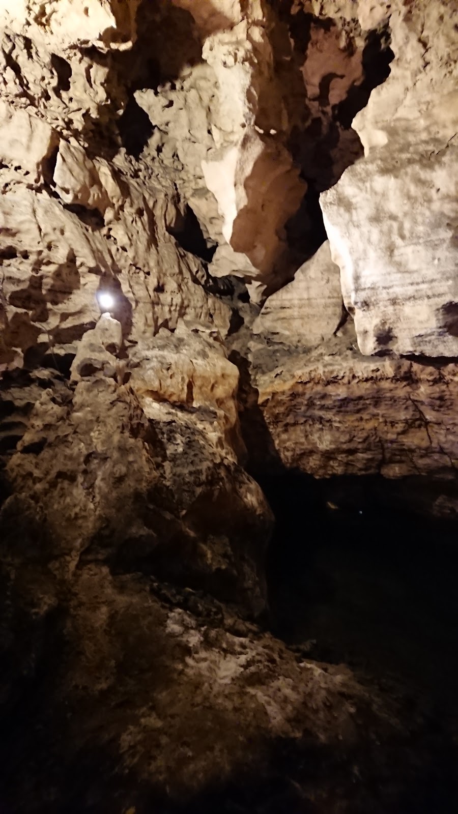 Engelbrecht Cave | cafe | 26 Chute St, Mount Gambier SA 5290, Australia | 0887235552 OR +61 8 8723 5552