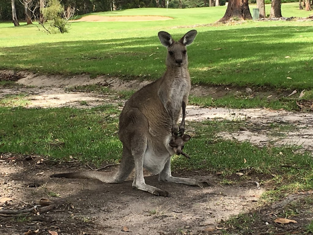 Eden Golf Course | 79 Princes Hwy, Eden NSW 2551, Australia | Phone: (02) 6496 1126