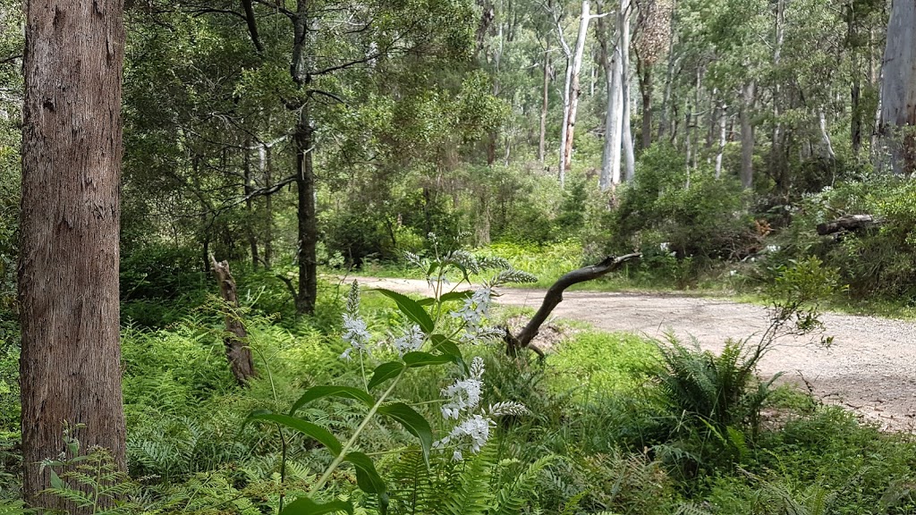 Landers Falls lookout | Landers Falls Walking Track, Pinbeyan NSW 2720, Australia | Phone: (02) 6947 7025