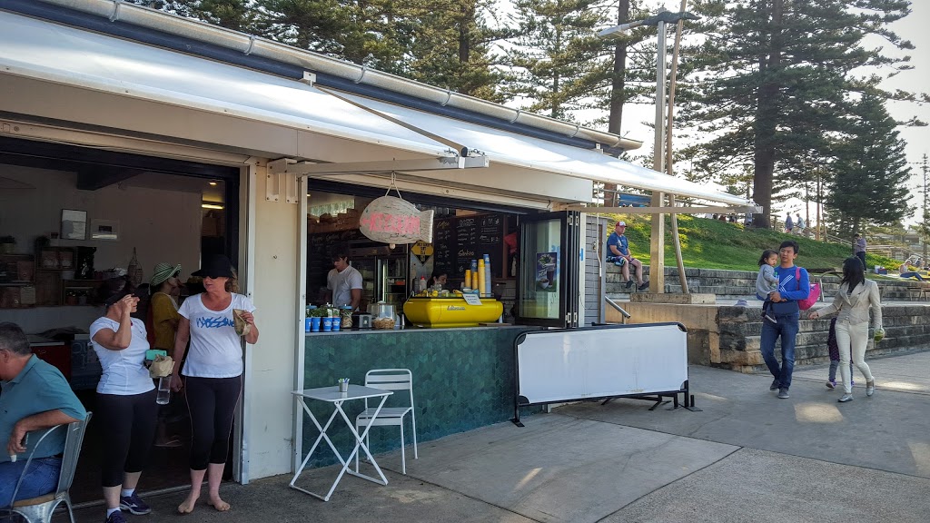 The Beach Shed | cafe | South end of, Monash Parade, Dee Why NSW 2099, Australia | 0299721790 OR +61 2 9972 1790