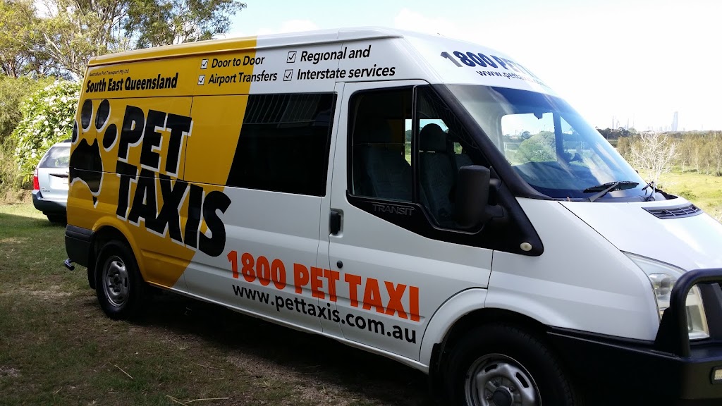 Pet Taxis, Newcastle, Sydney, Central Coast & Hunter Valley | 139C Moira Park Rd, Morisset NSW 2264, Australia | Phone: 0411 738 829