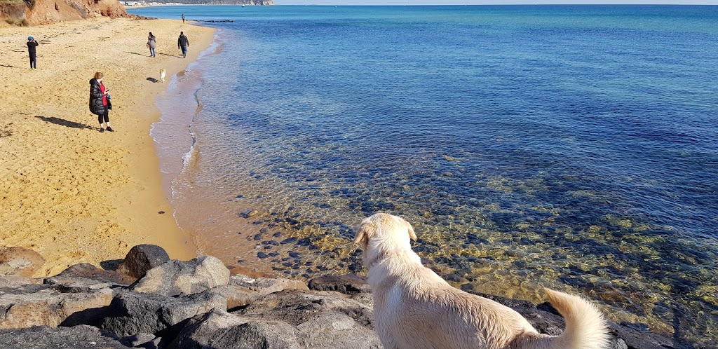 Dog Friendly Beach - Hawker beach | 3 Esplanade, Mount Martha VIC 3934, Australia