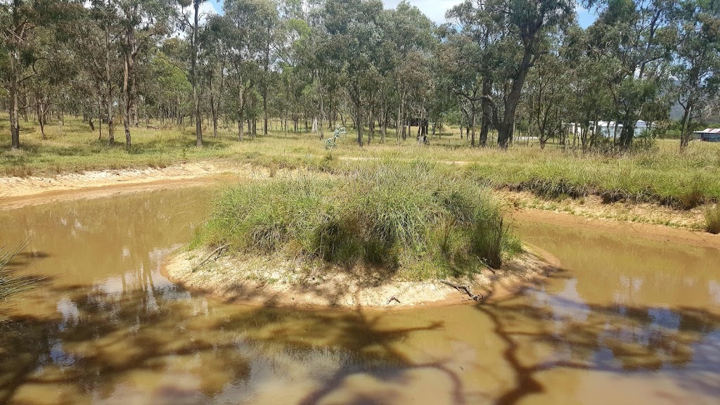 Tenterfield Park (Dog Park) | Tenterfield NSW 2372, Australia