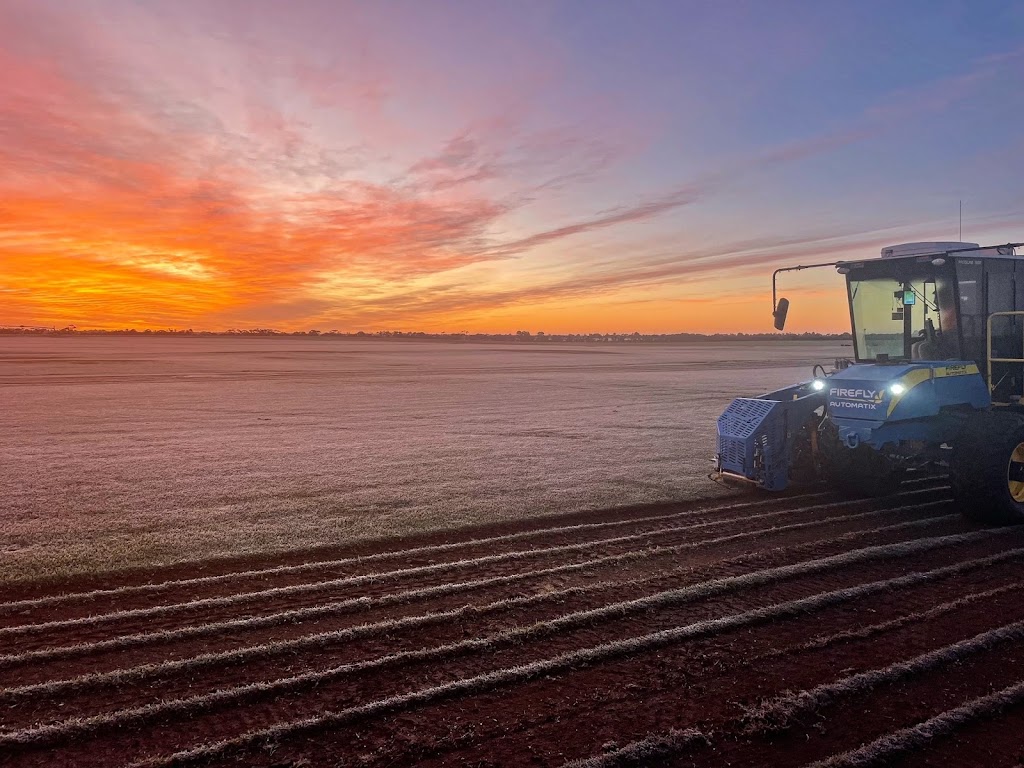 Anco Turf Swan Hill | Woorinen-Vinifera Rd, Woorinen South VIC 3588, Australia | Phone: 1800 010 110
